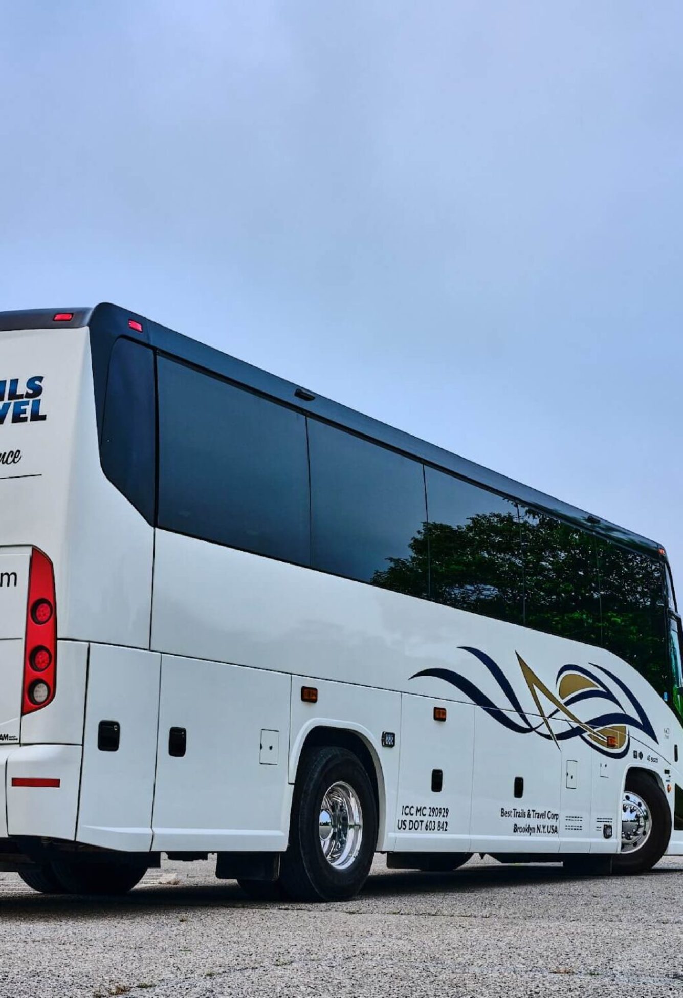 3248367511119936813_(1)